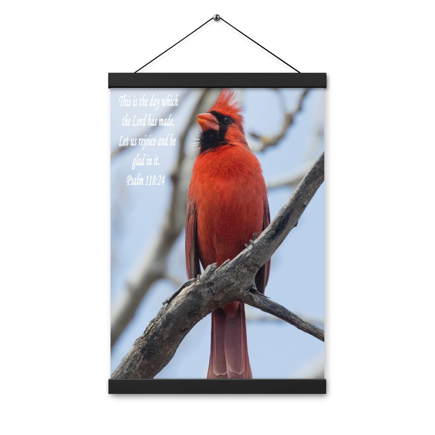 Poster with hangers