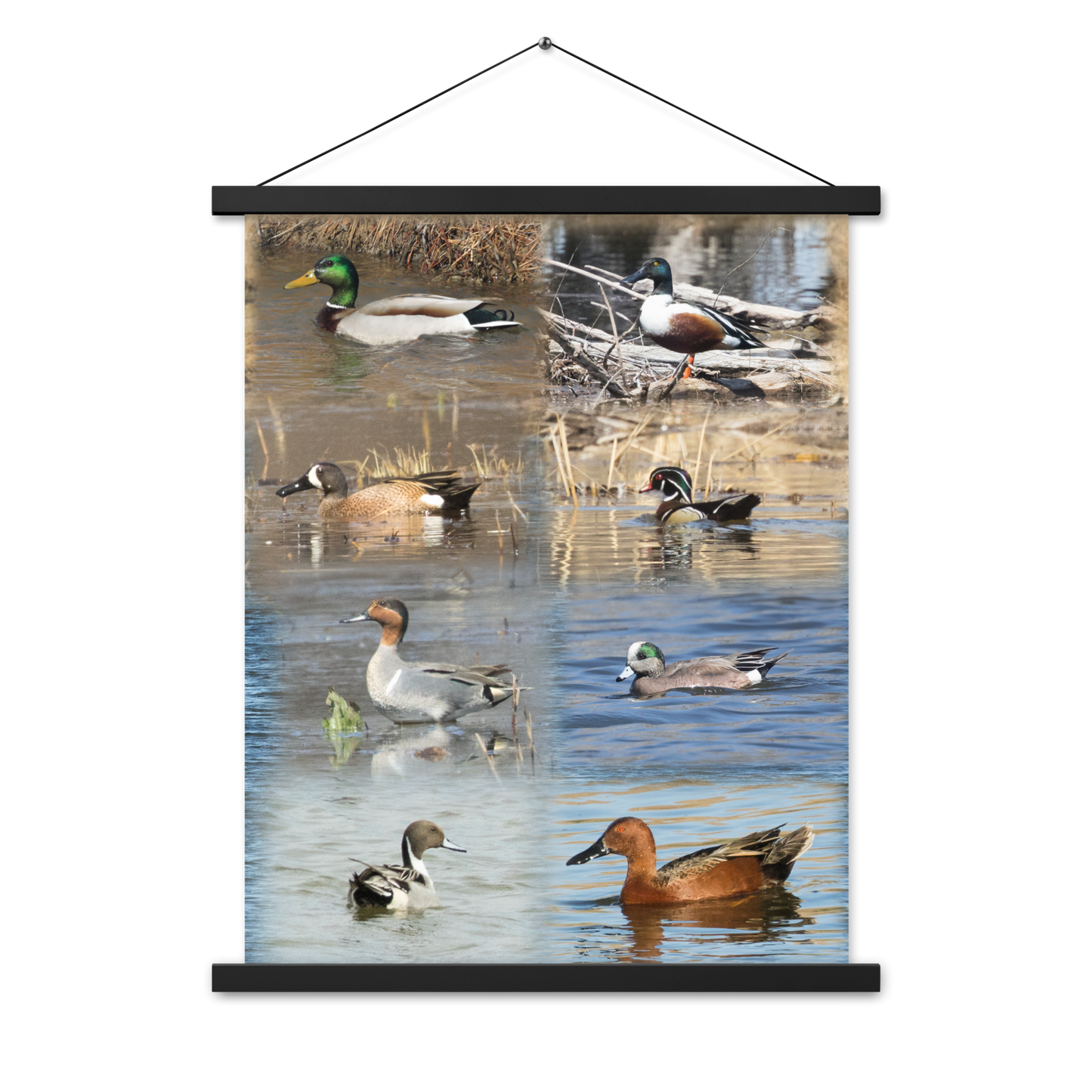 Poster with hangers