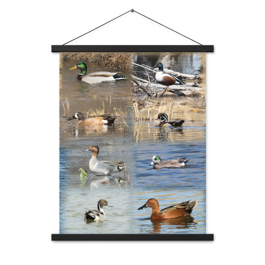 Poster with hangers