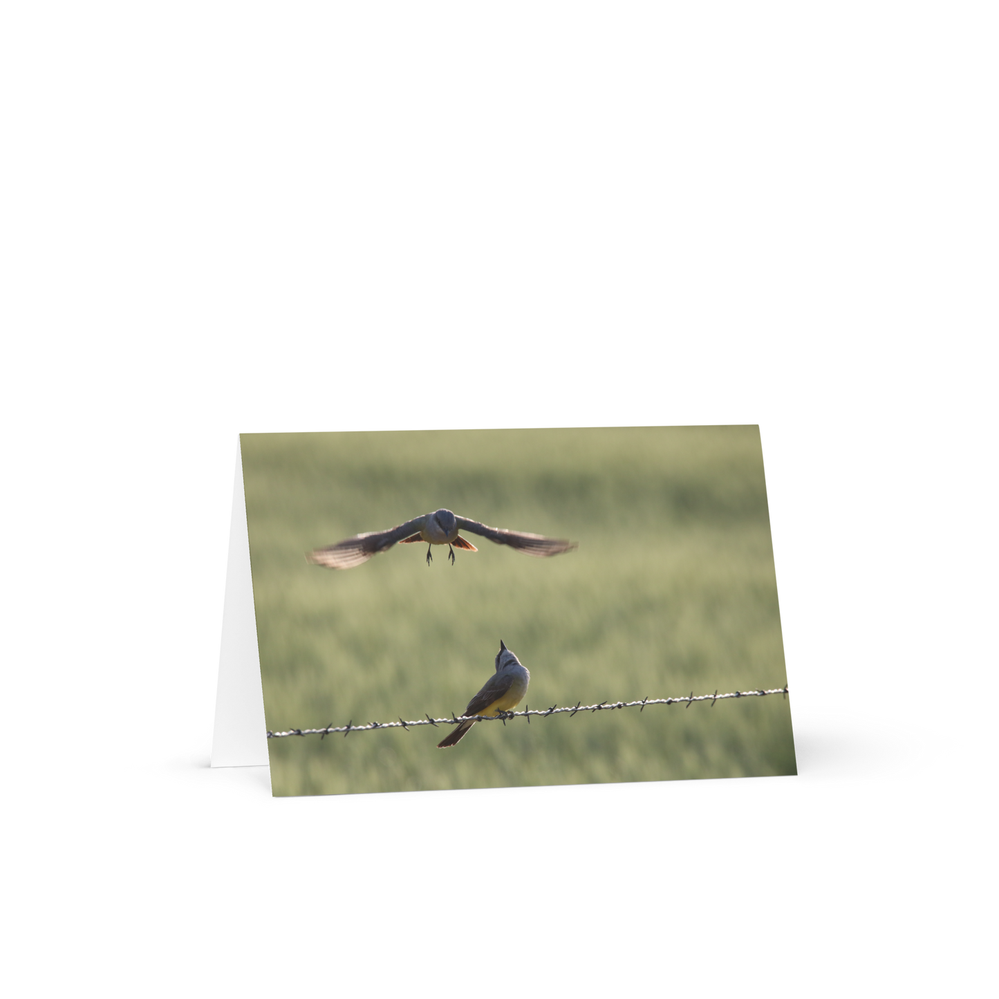 Greeting Card