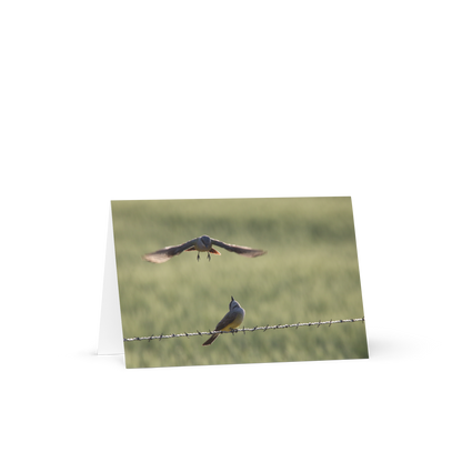 Greeting Card