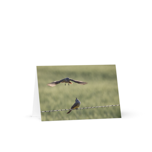 Greeting Card