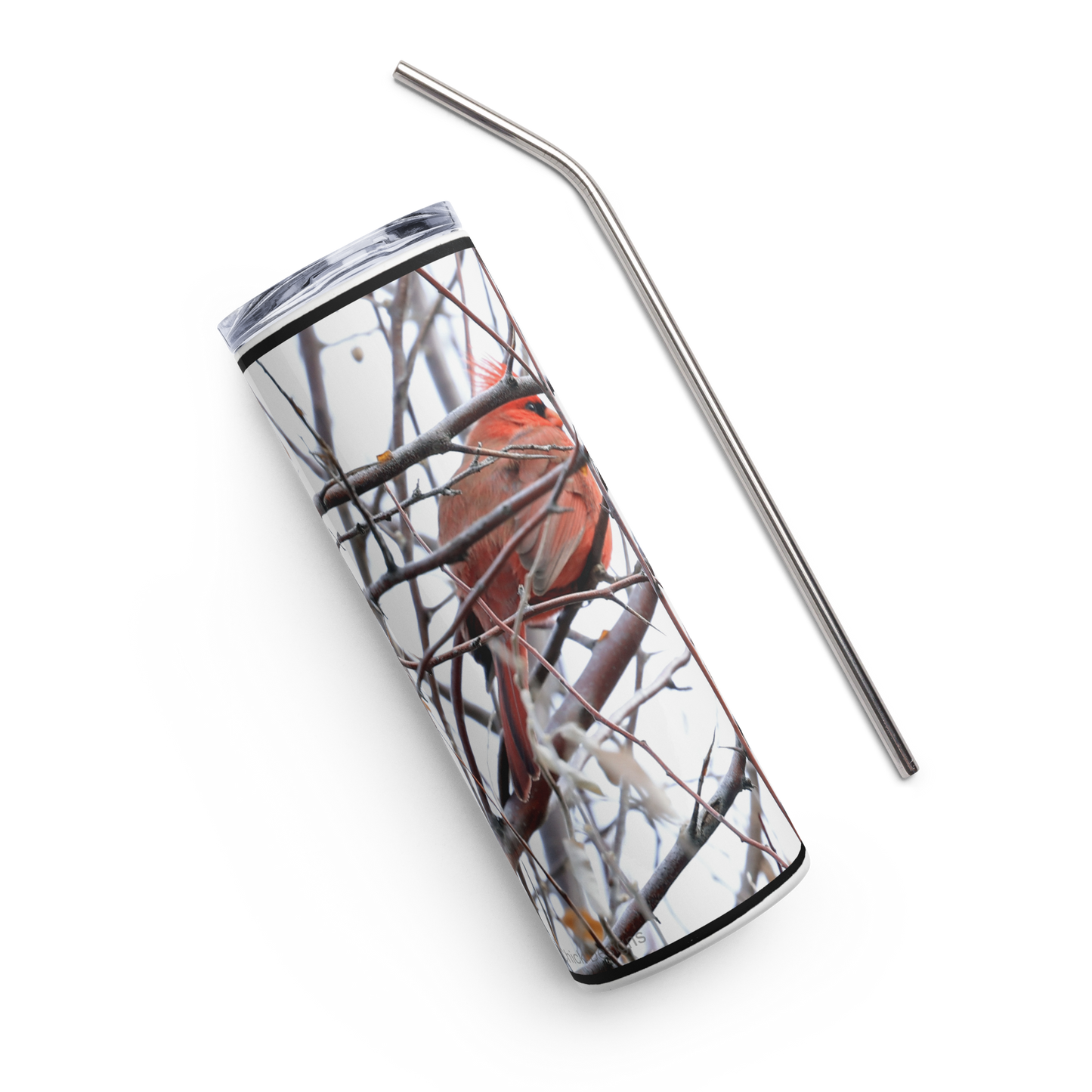 Stainless steel tumbler