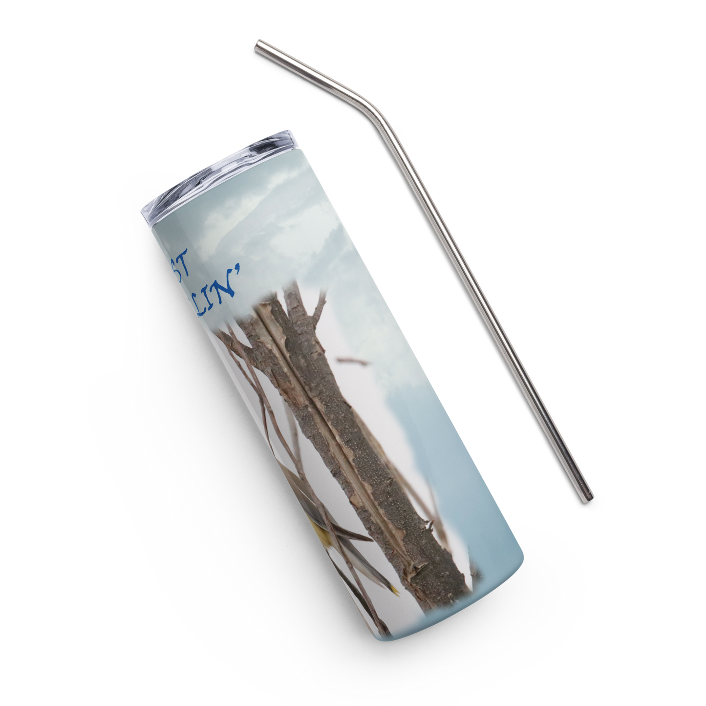 Stainless steel tumbler