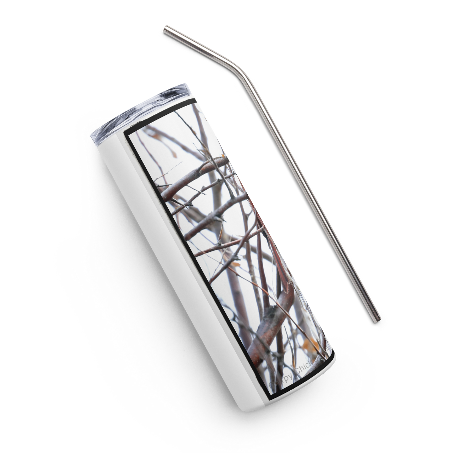 Stainless steel tumbler