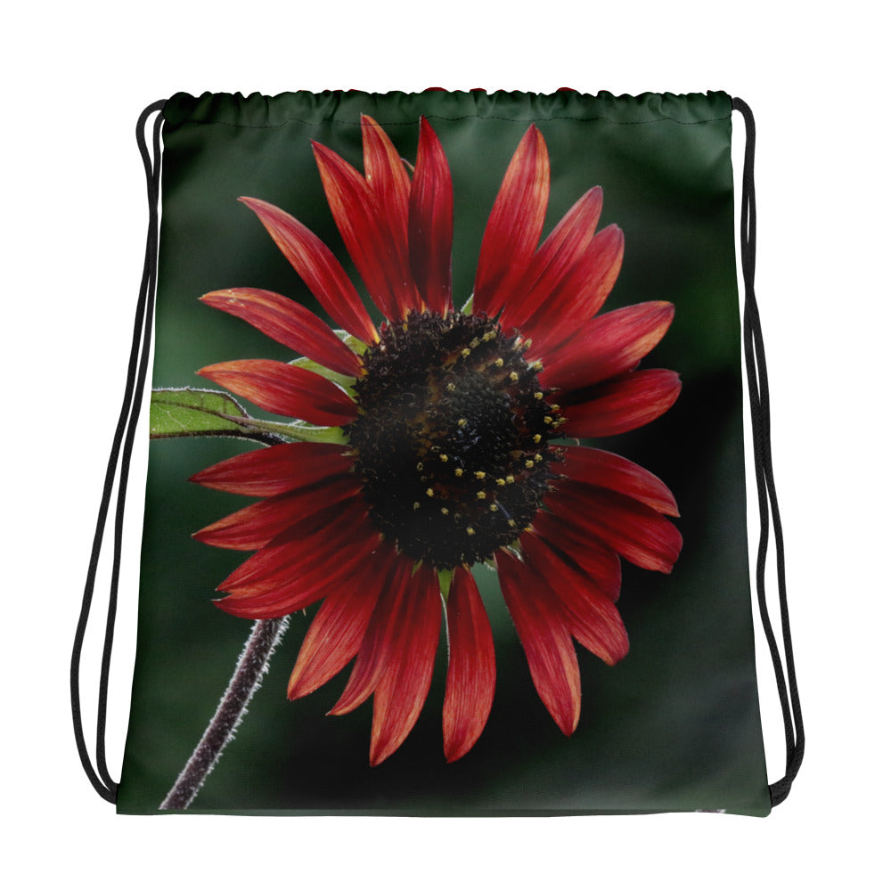 Drawstring bag