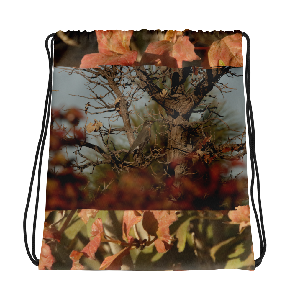 Drawstring bag