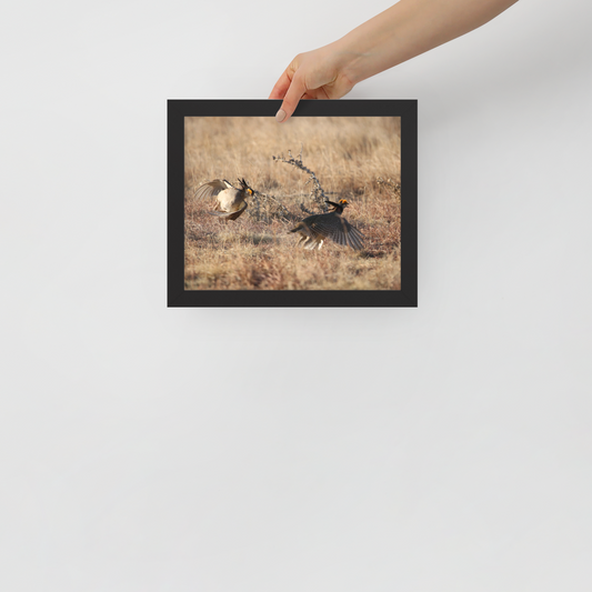Framed poster