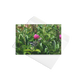 Greeting card