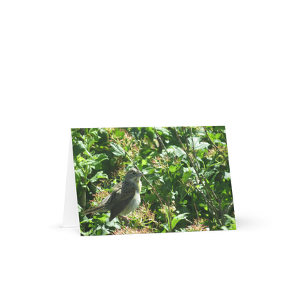 Greeting card