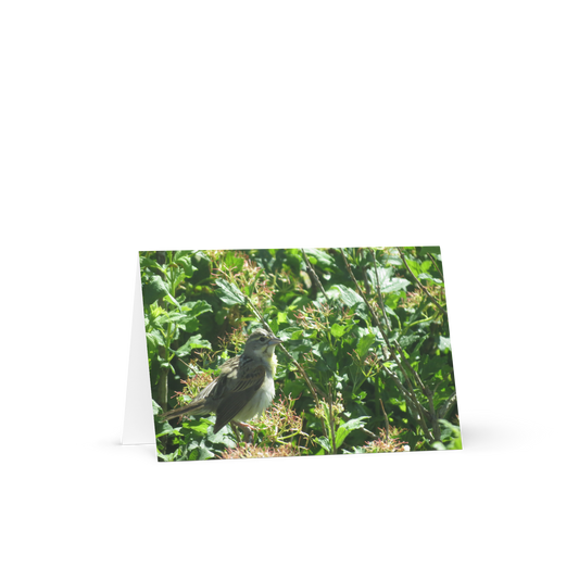 Greeting card