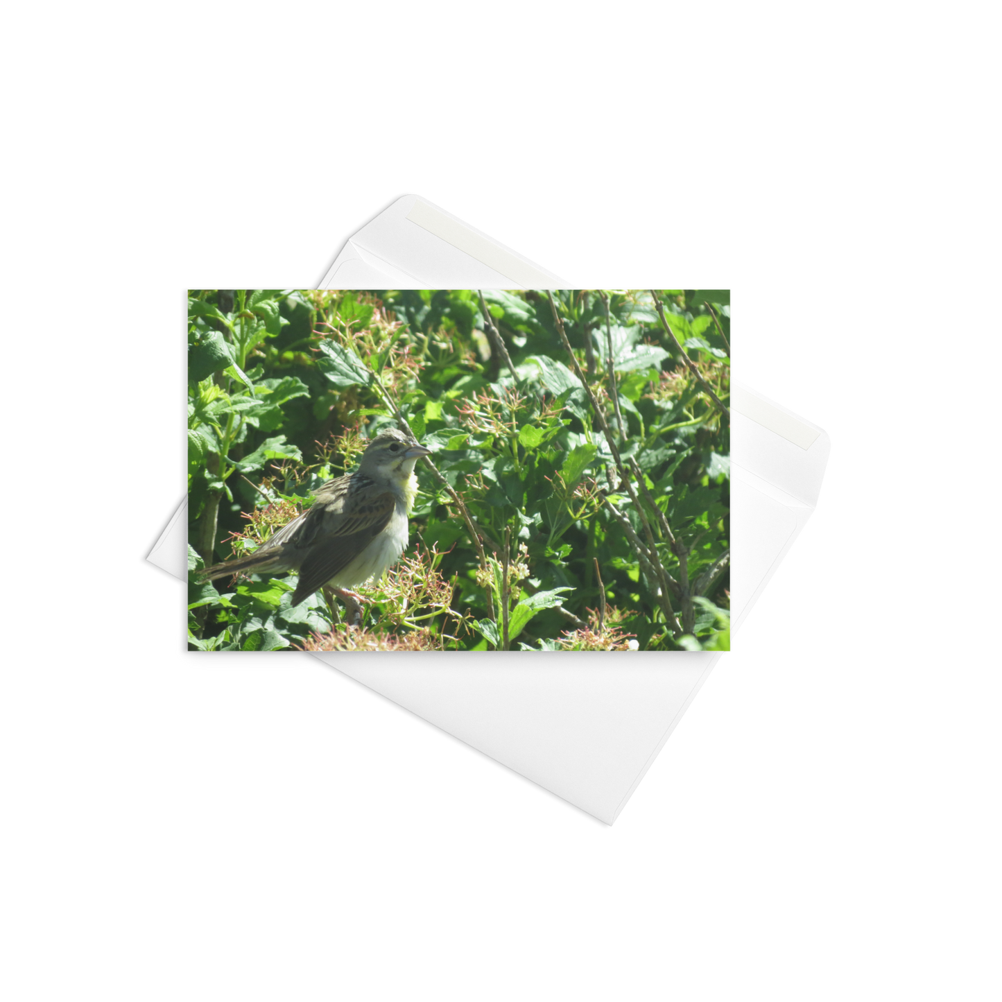 Greeting card