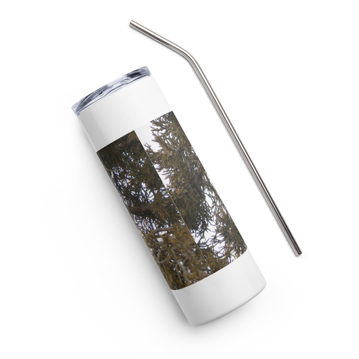 Stainless steel tumbler