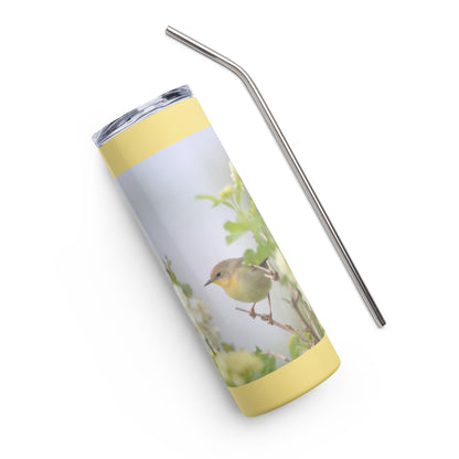 Stainless steel tumbler