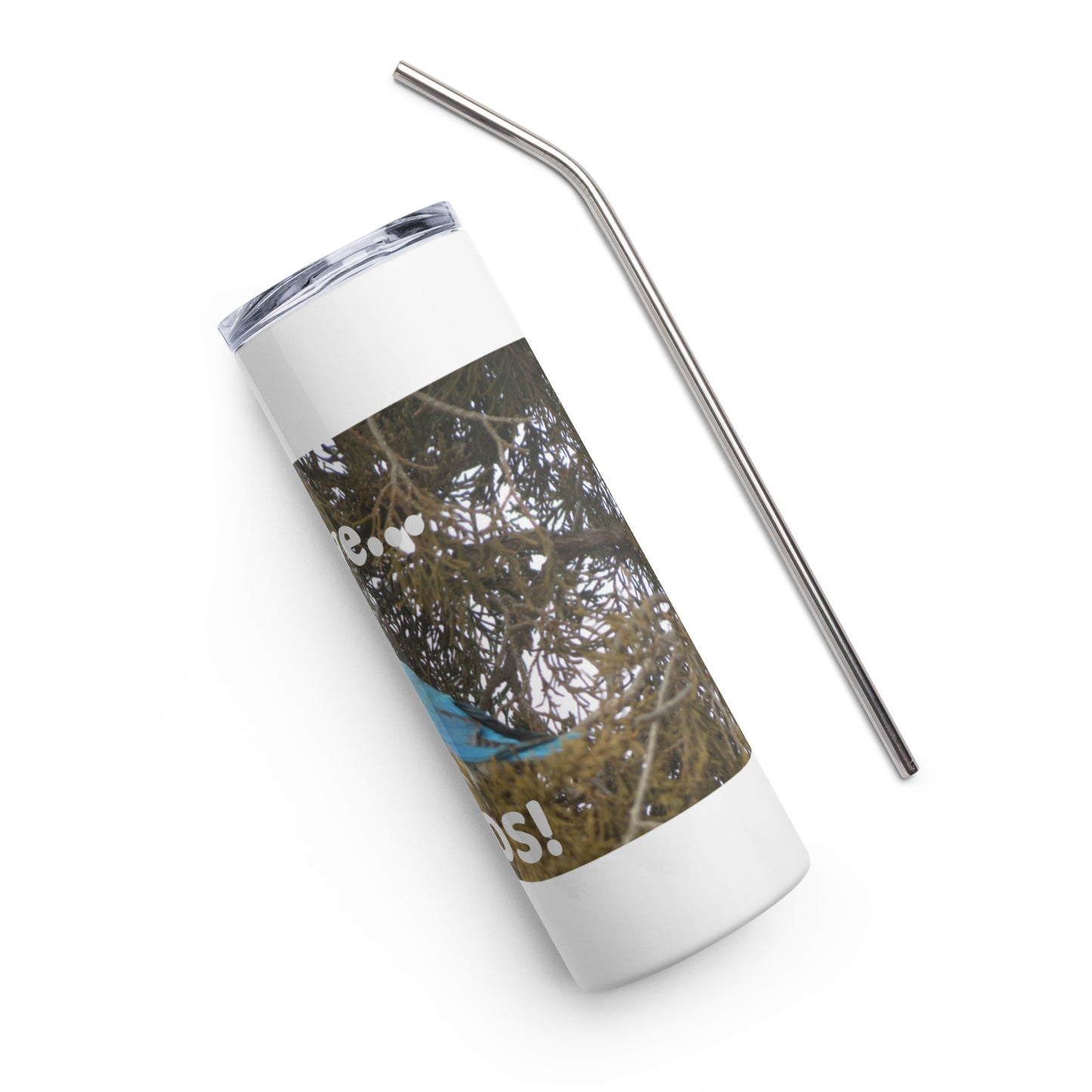 Stainless steel tumbler