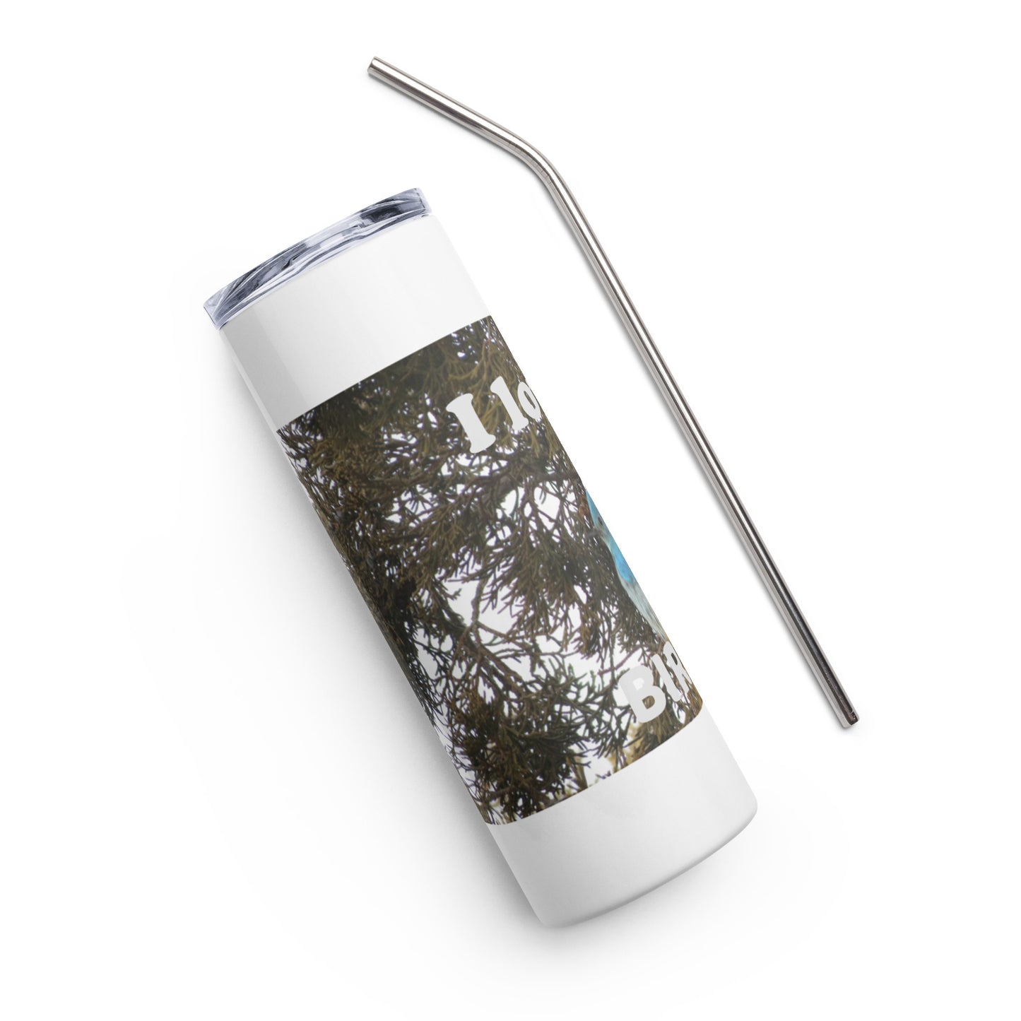 Stainless steel tumbler