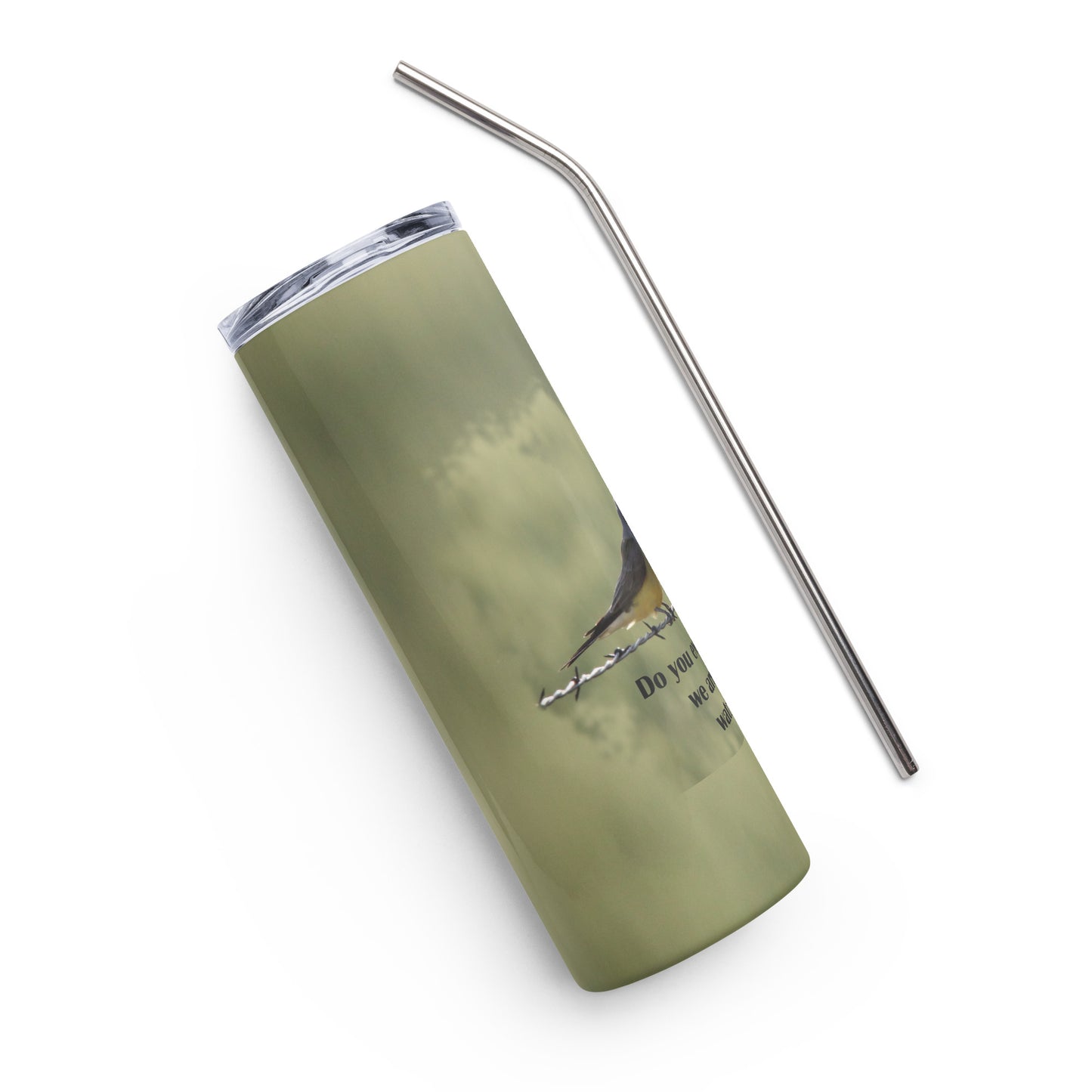 Stainless steel tumbler