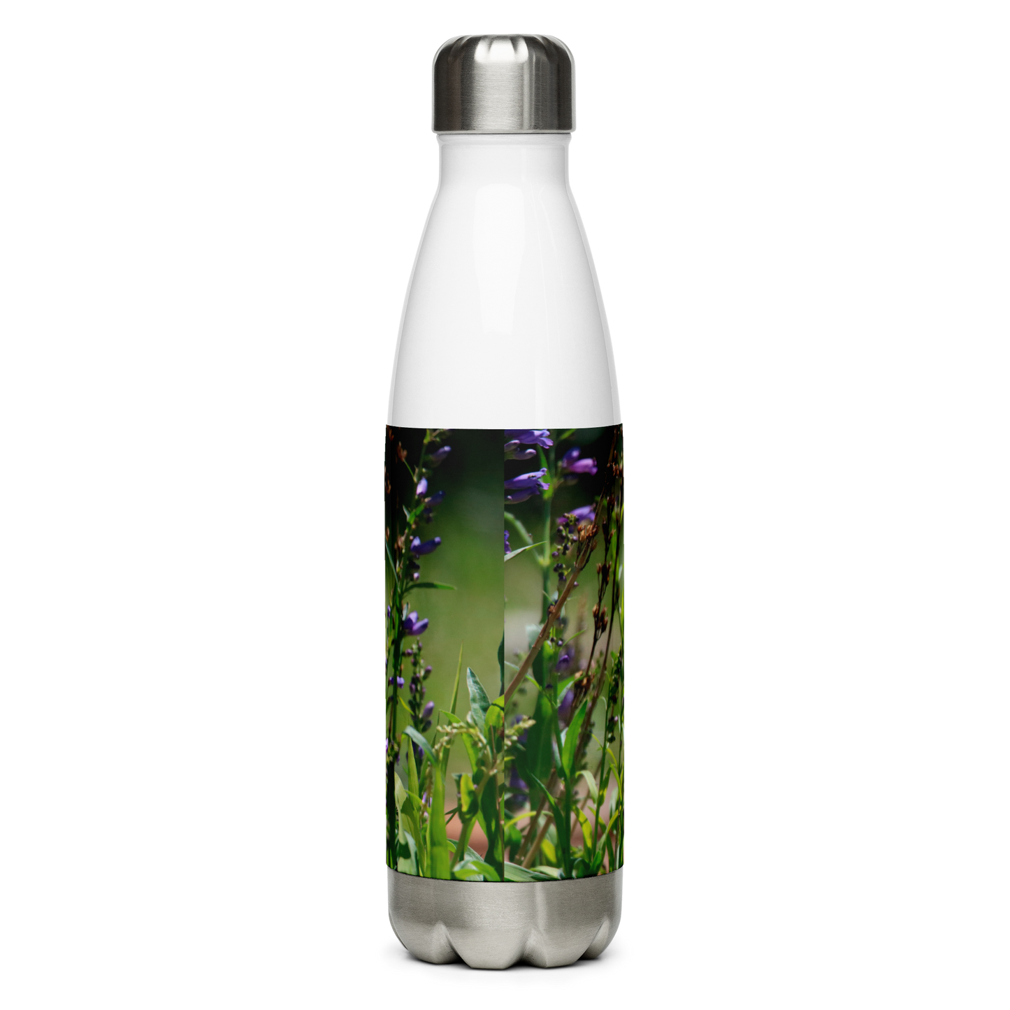 Stainless Steel Water Bottle