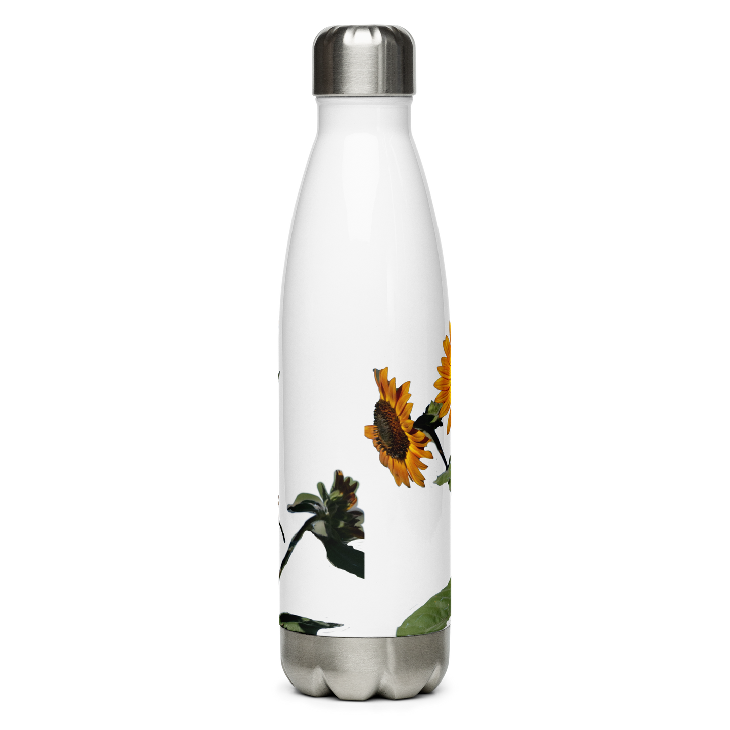 Stainless Steel Water Bottle