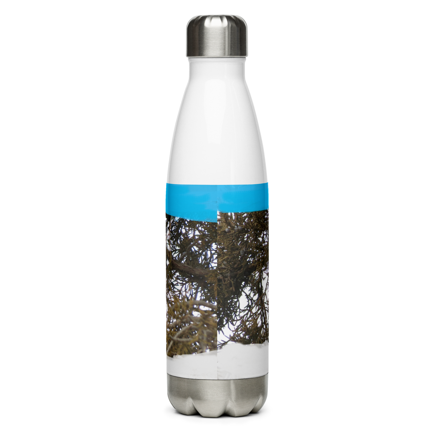 Stainless Steel Water Bottle