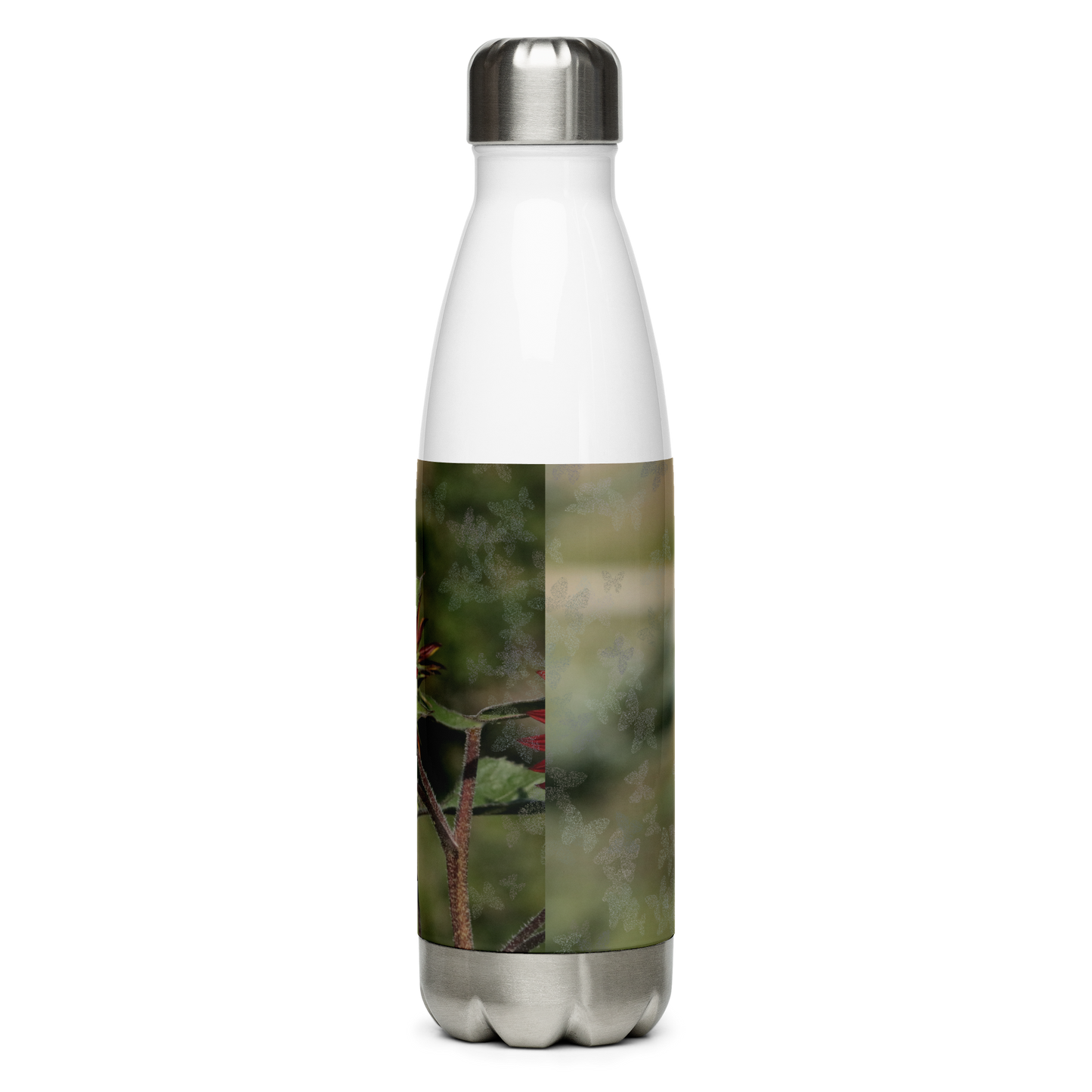 Stainless Steel Water Bottle