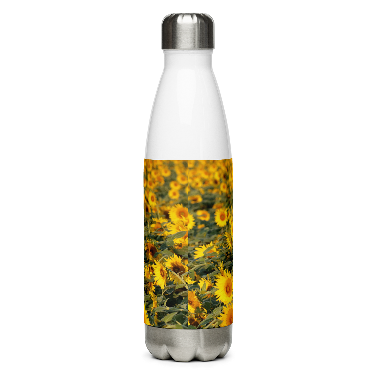 Stainless Steel Water Bottle