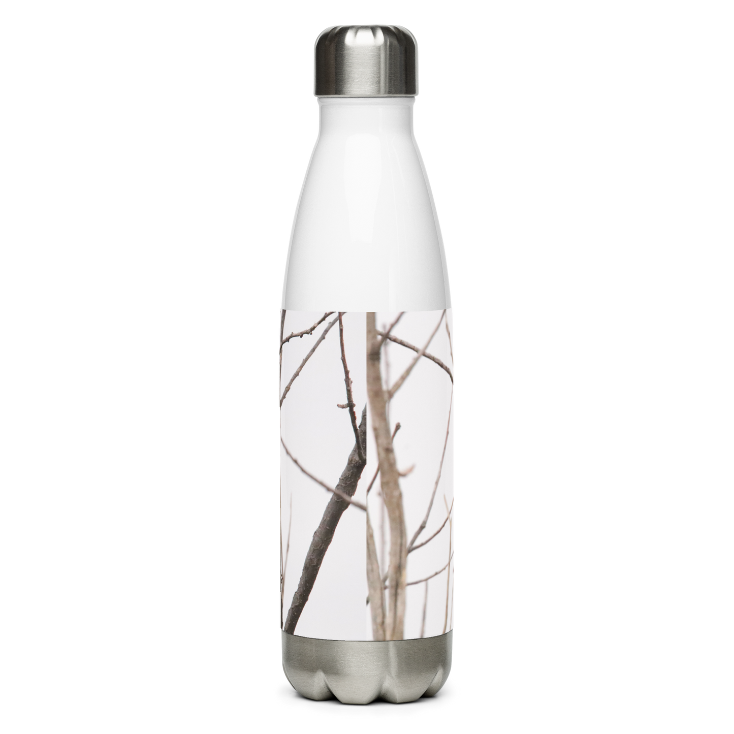 Stainless Steel Water Bottle