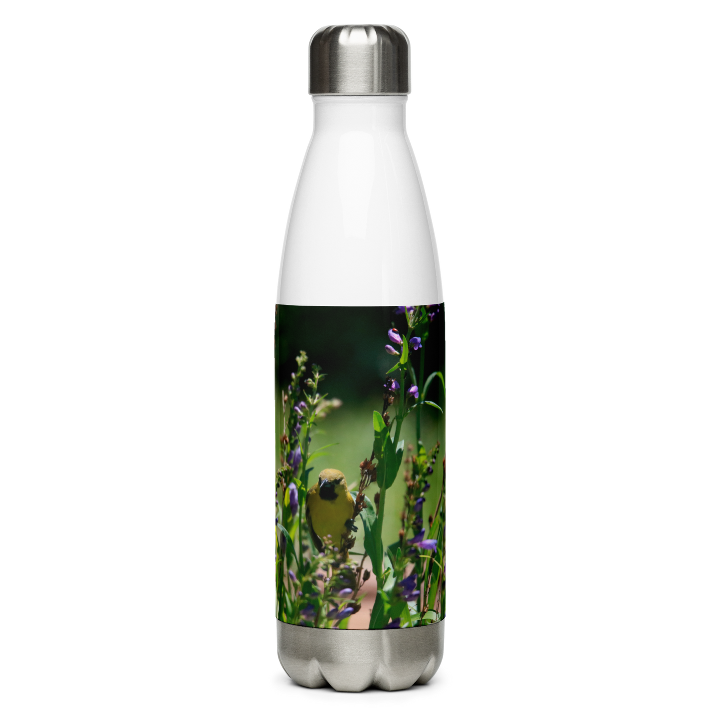 Stainless Steel Water Bottle