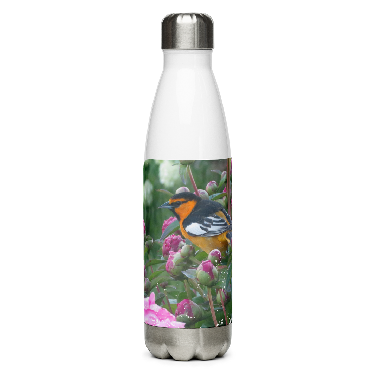 Stainless Steel Water Bottle