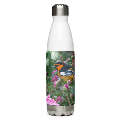 Stainless Steel Water Bottle