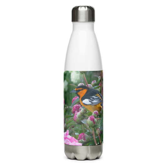 Stainless Steel Water Bottle