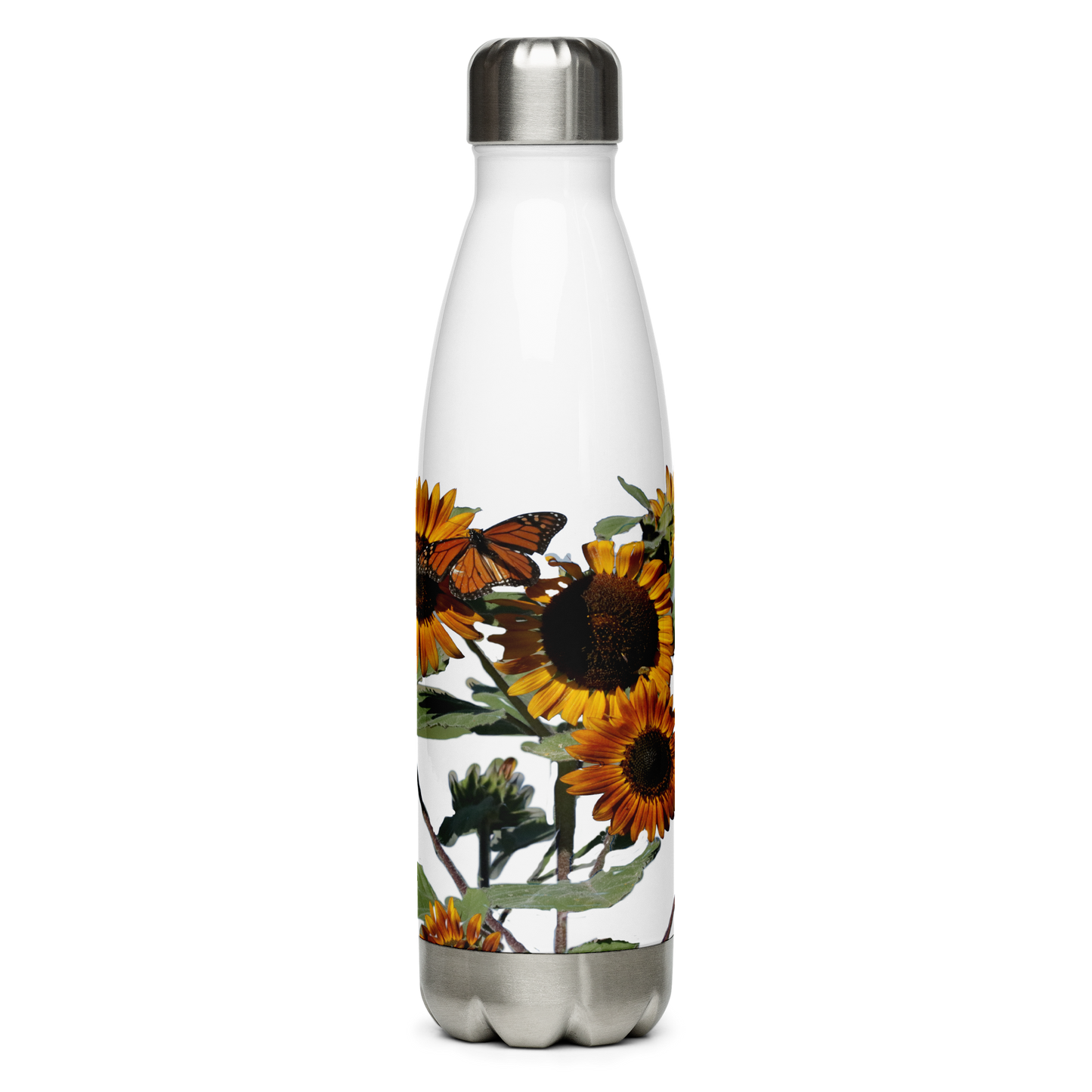 Stainless Steel Water Bottle