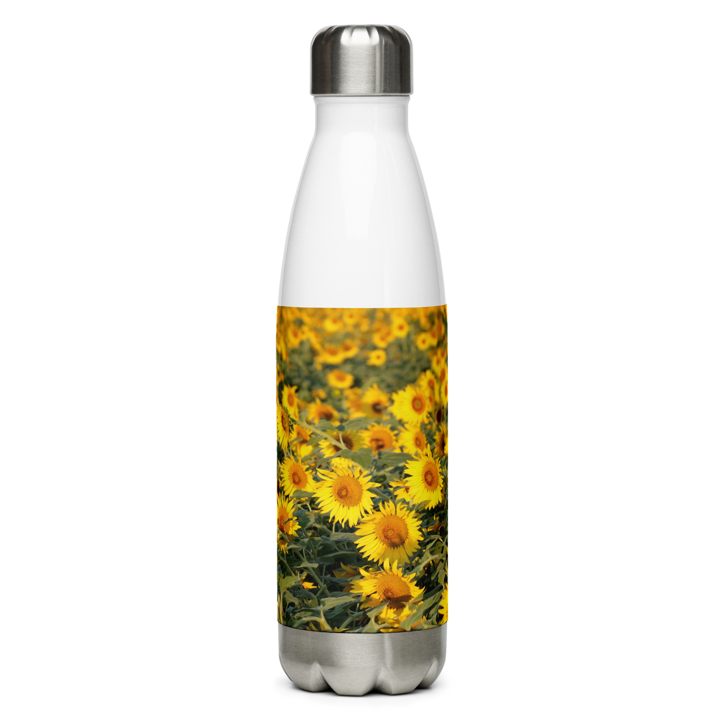 Stainless Steel Water Bottle