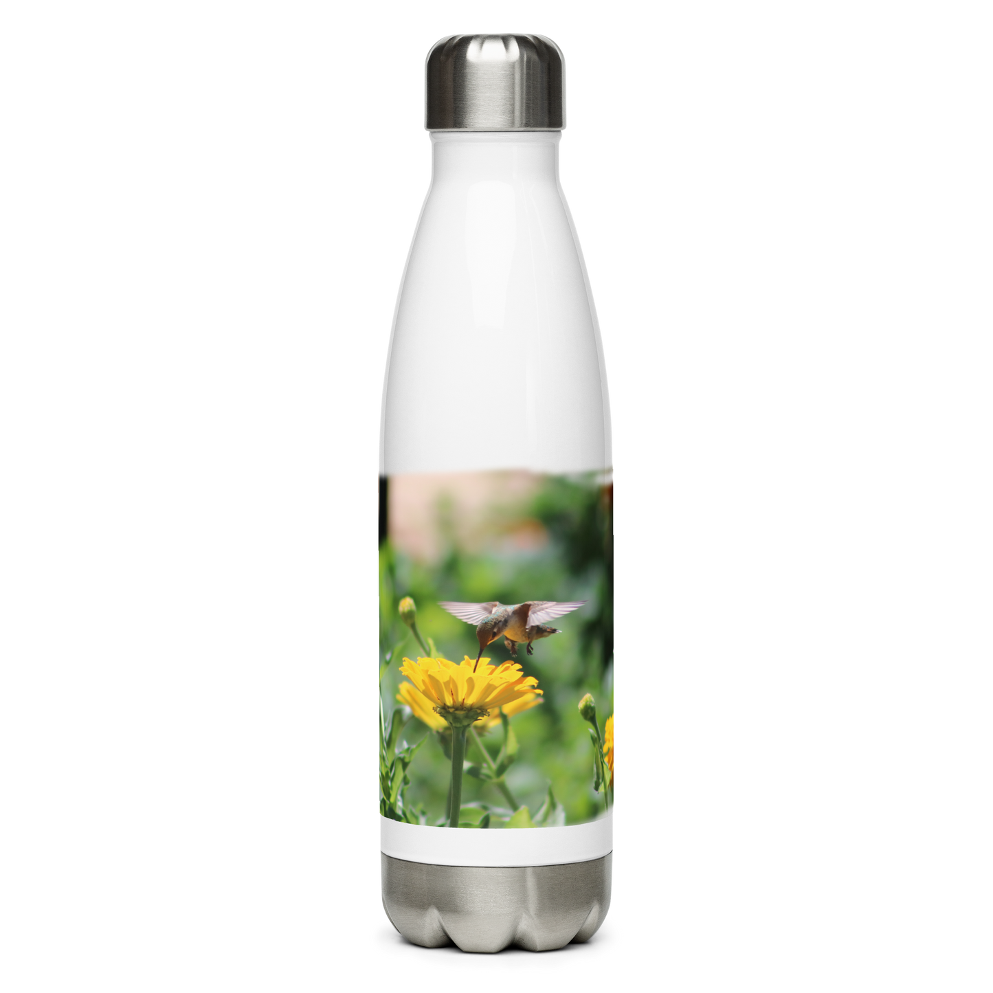 Stainless Steel Water Bottle