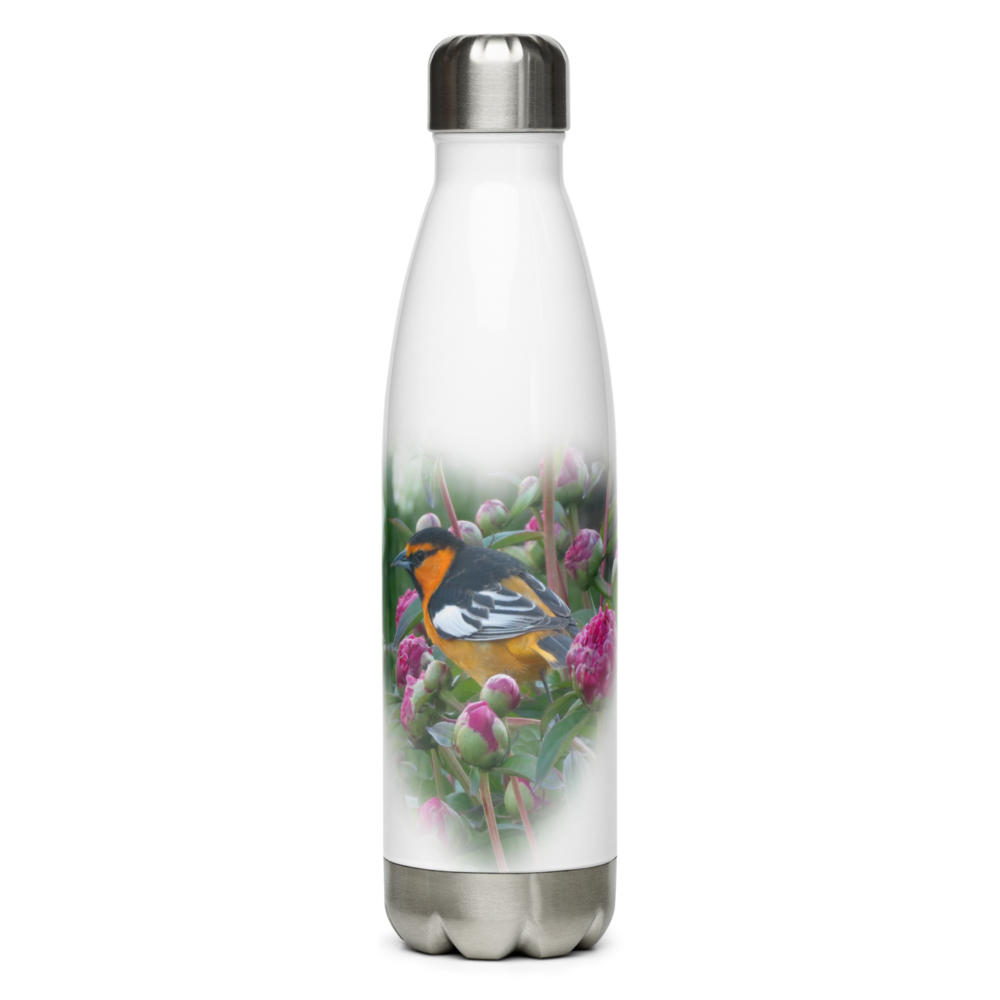 Stainless Steel Water Bottle