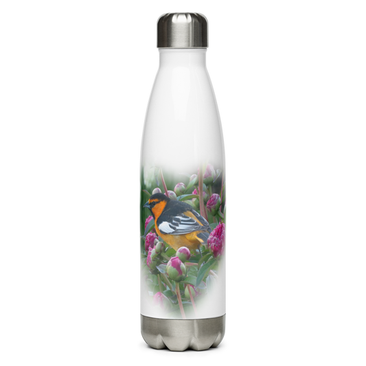 Stainless Steel Water Bottle