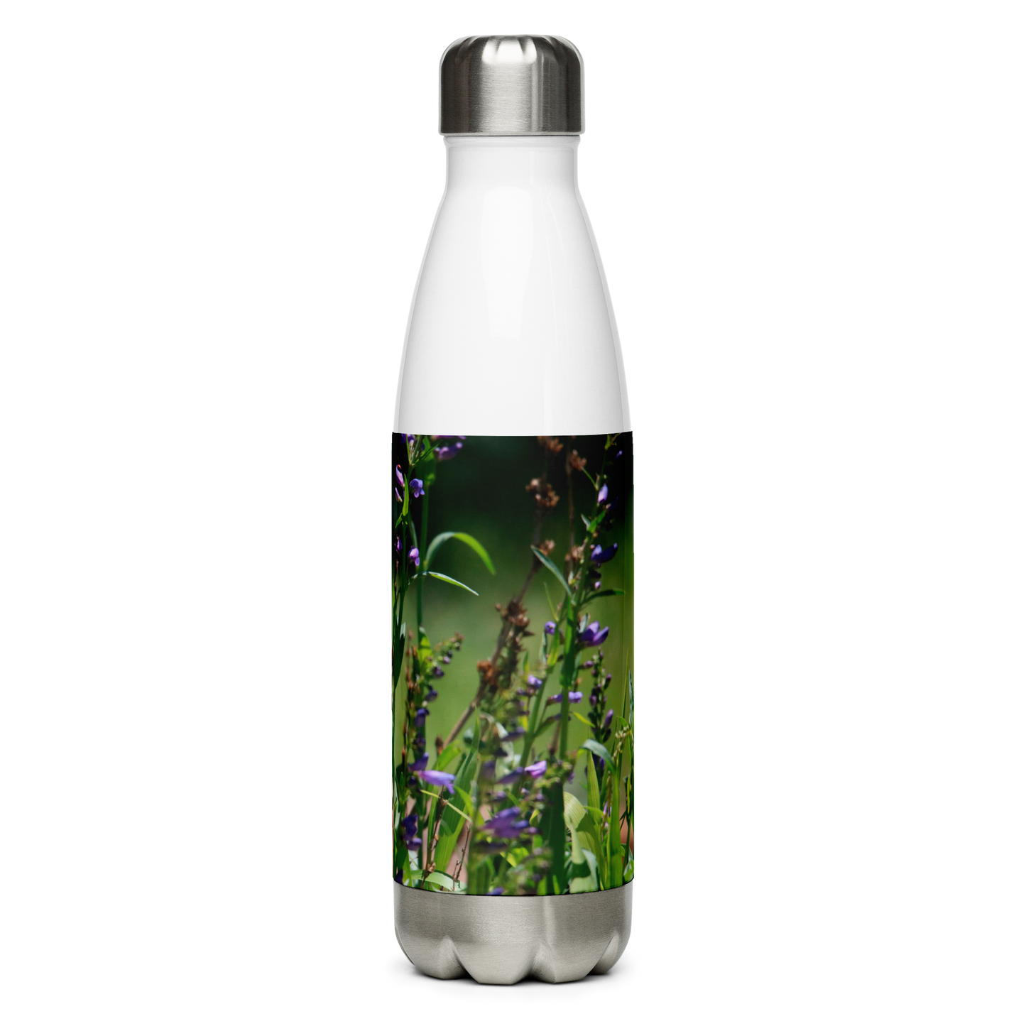 Stainless Steel Water Bottle