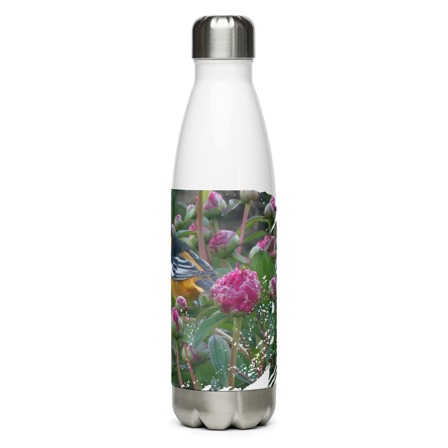 Stainless Steel Water Bottle