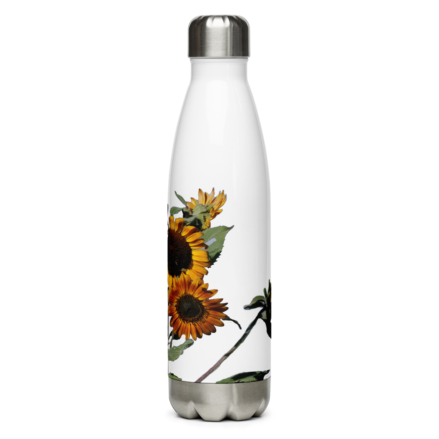 Stainless Steel Water Bottle