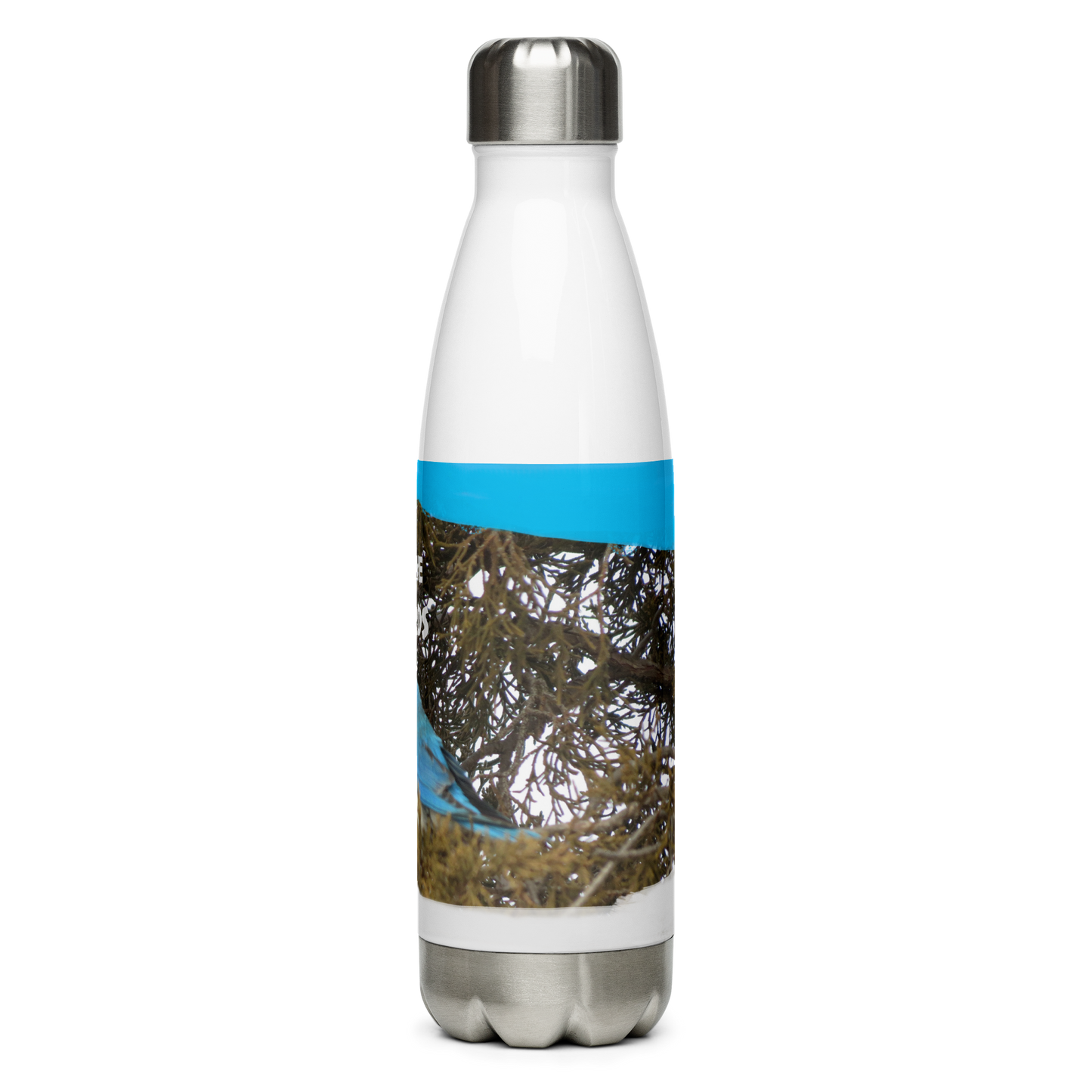 Stainless Steel Water Bottle