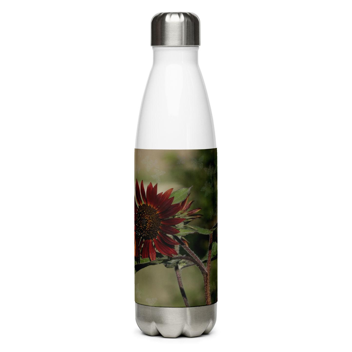 Stainless Steel Water Bottle