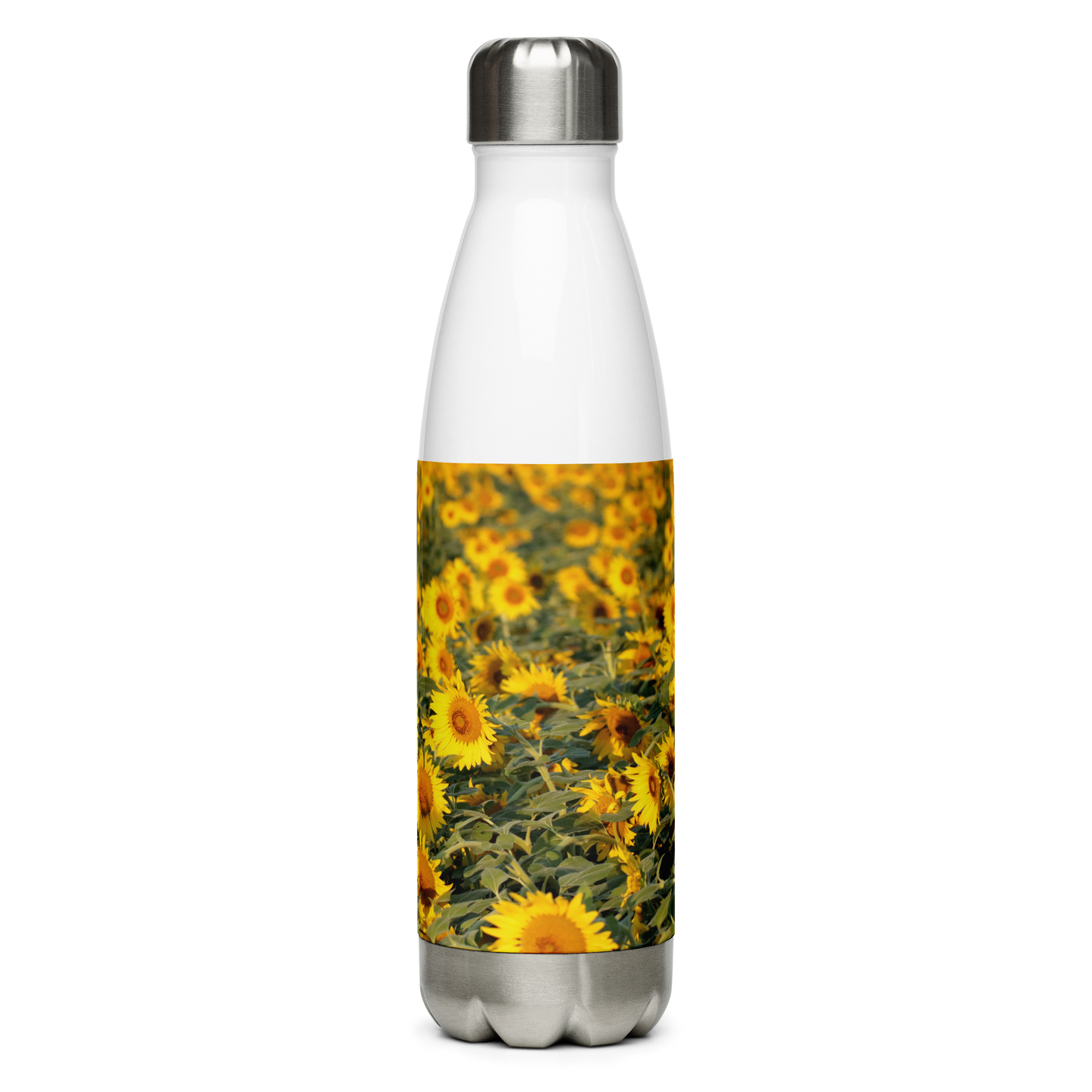 Stainless Steel Water Bottle