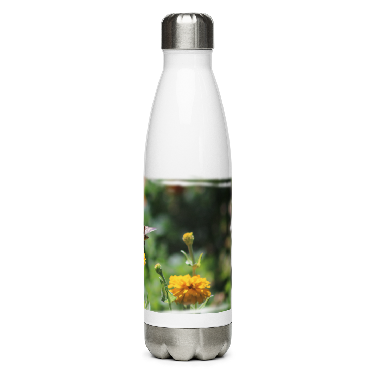 Stainless Steel Water Bottle