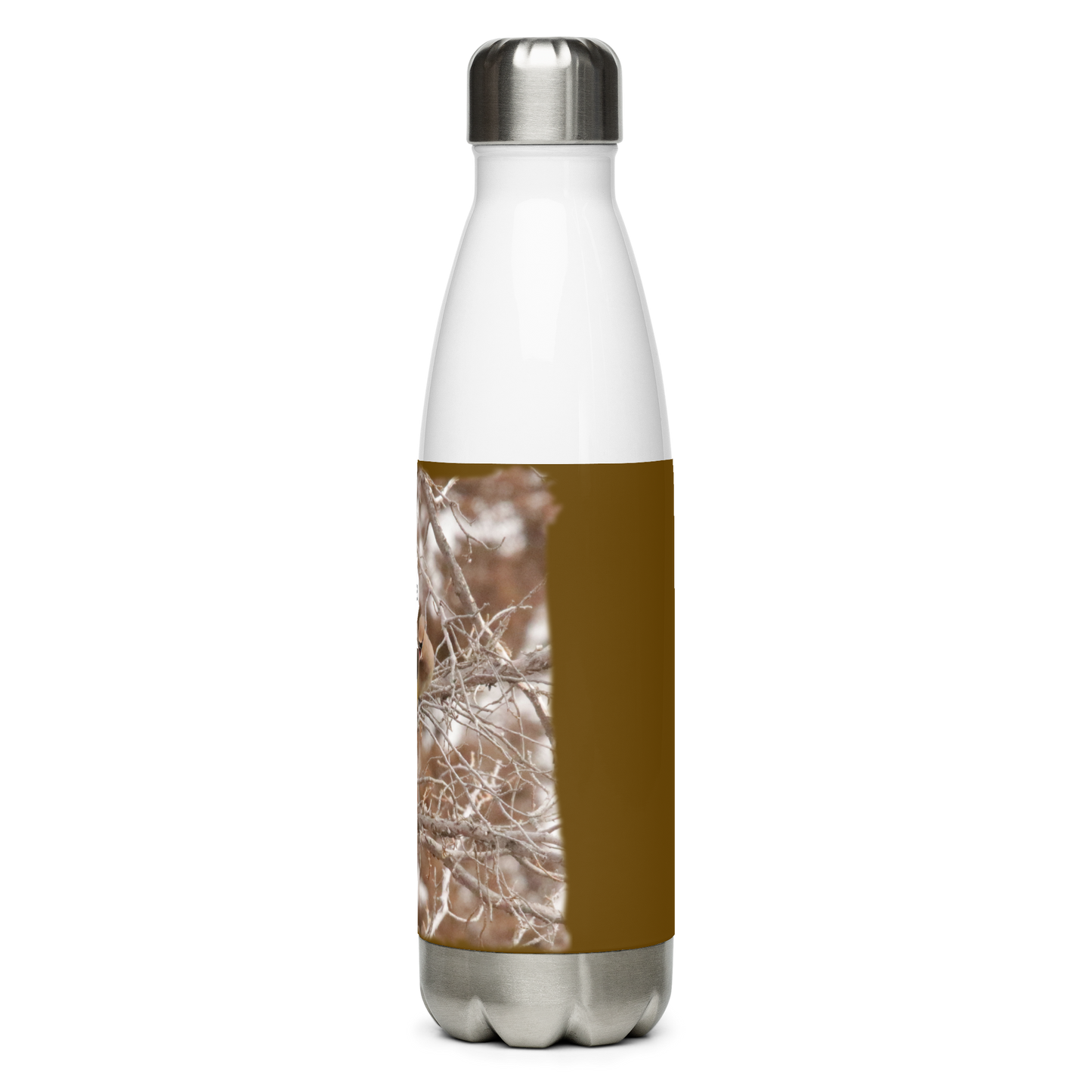 Stainless Steel Water Bottle