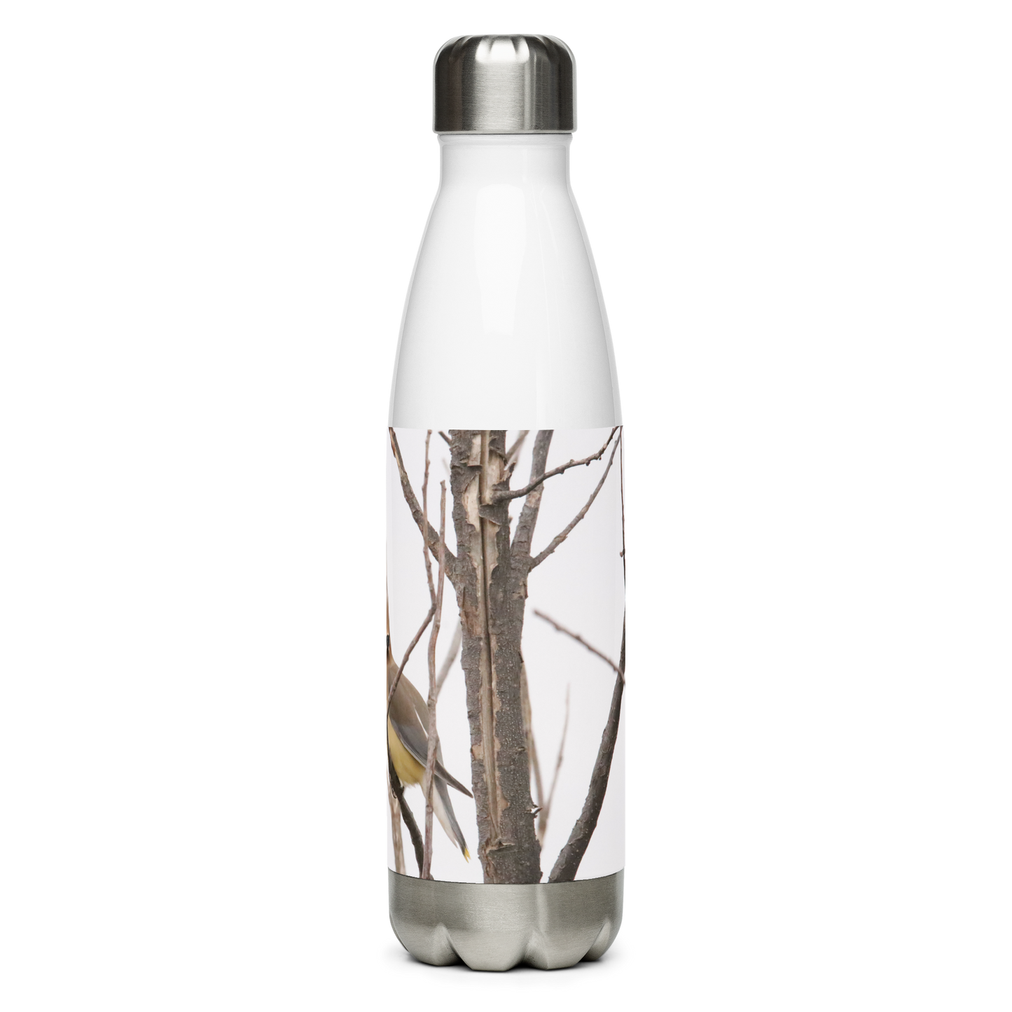 Stainless Steel Water Bottle