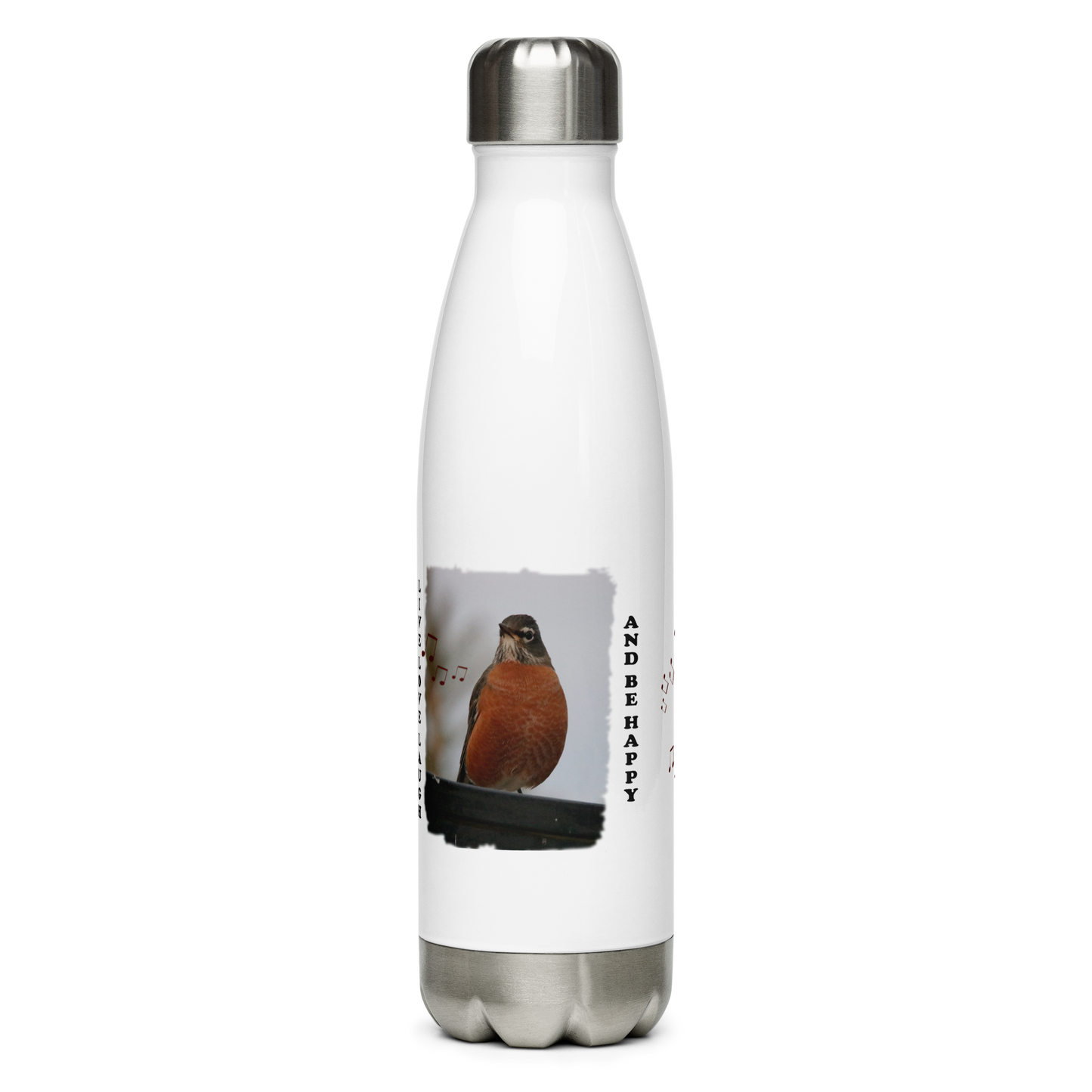 Stainless Steel Water Bottle