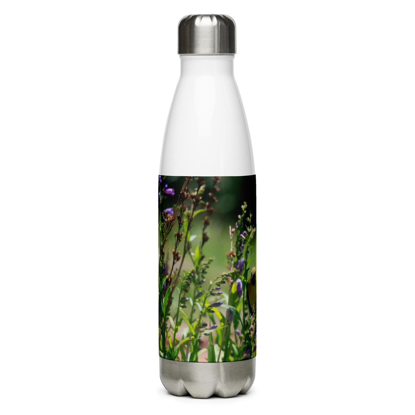 Stainless Steel Water Bottle