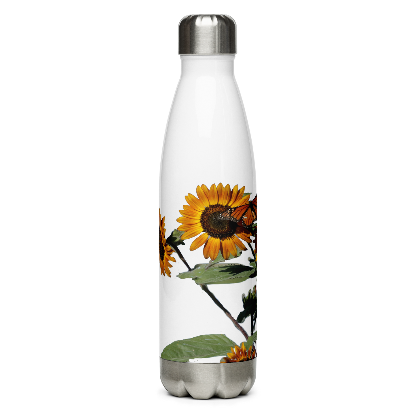 Stainless Steel Water Bottle