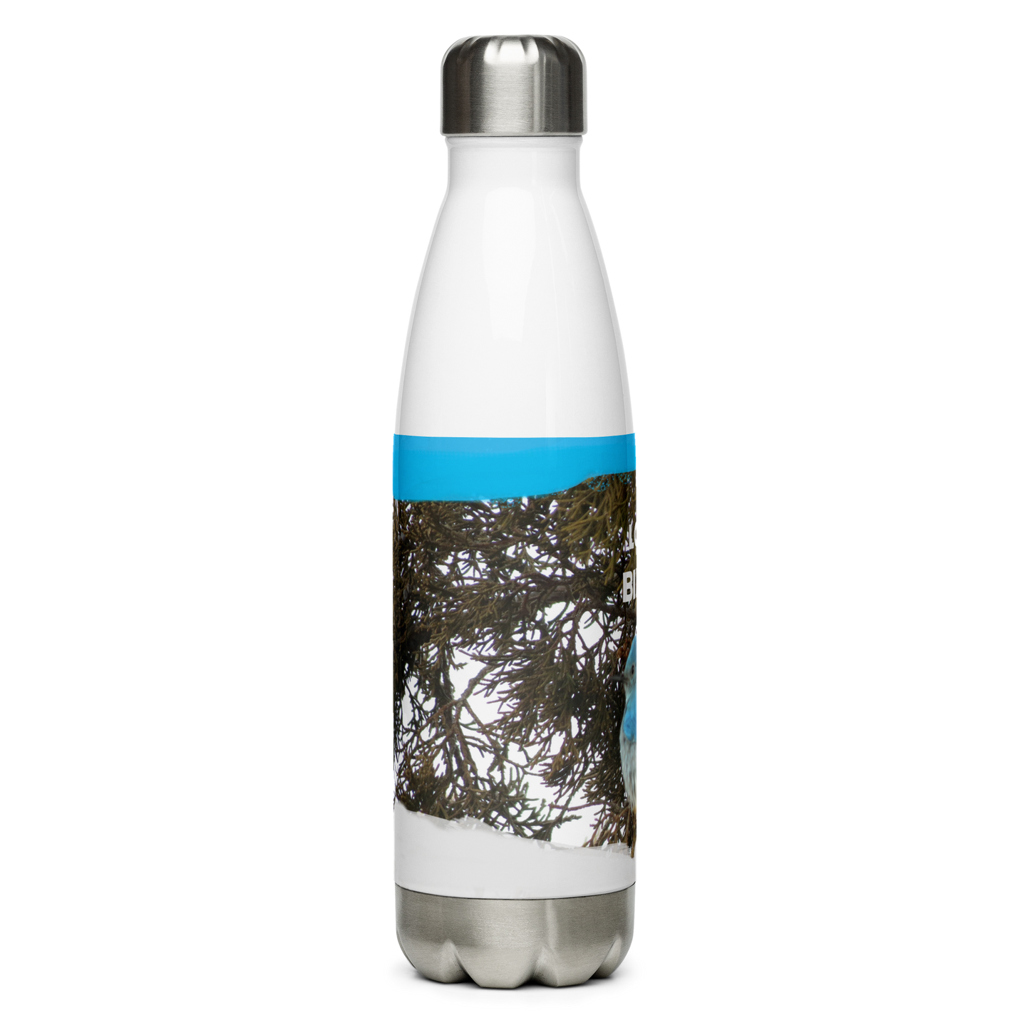 Stainless Steel Water Bottle