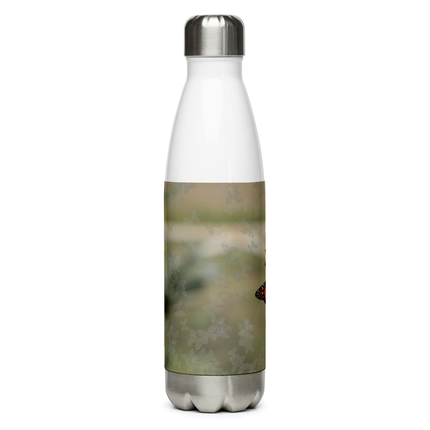 Stainless Steel Water Bottle